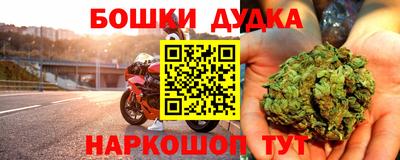 гидра Бердск