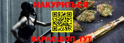 гидра Бердск