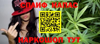 гидра Бердск