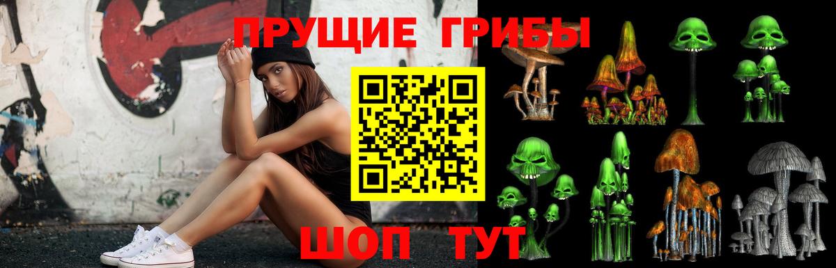 Псилоцибиновые грибы ЛСД  Вход с VPN  Выборг 
